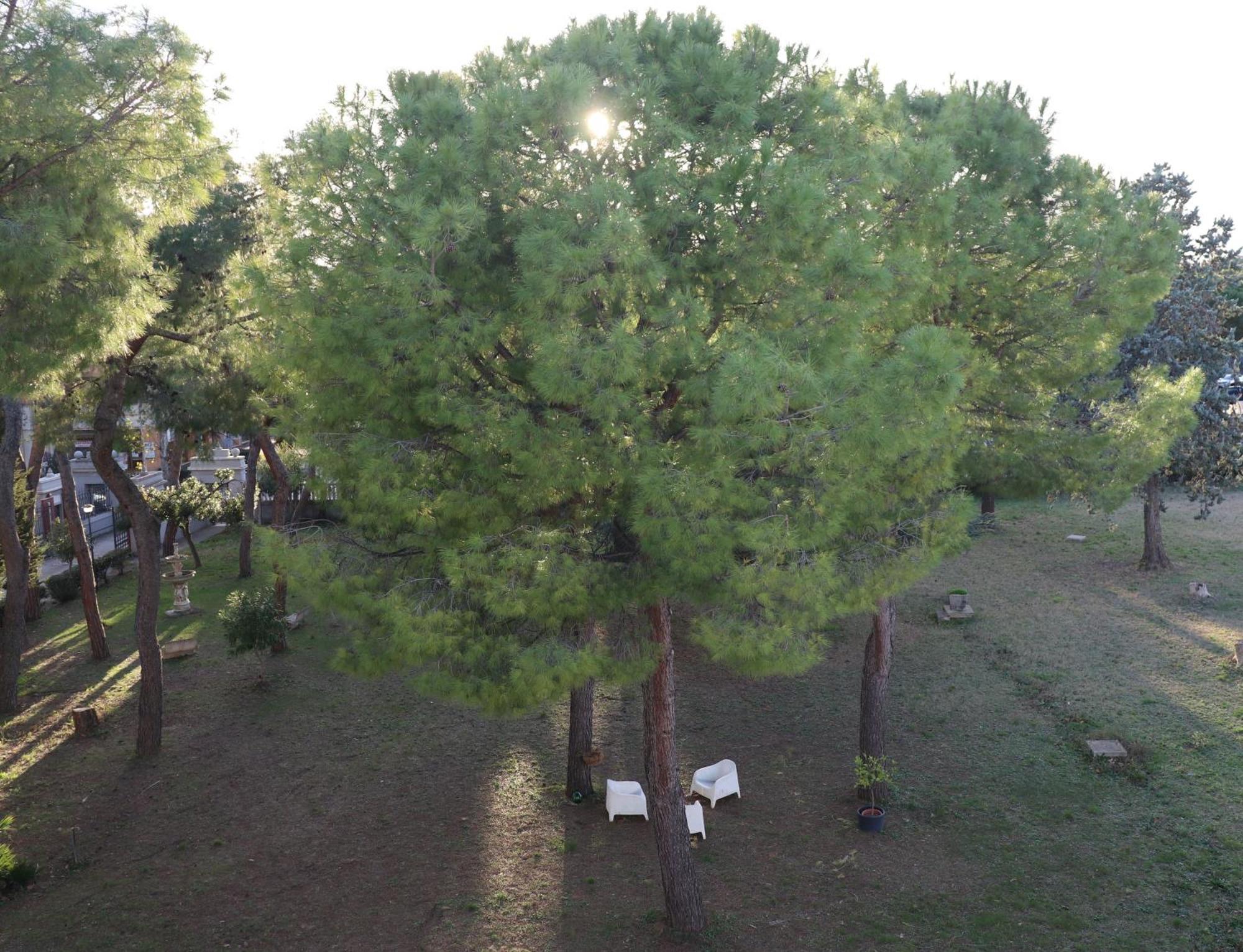 Ostello E Camere Private Prima Luce Foresteria Giulianova Εξωτερικό φωτογραφία